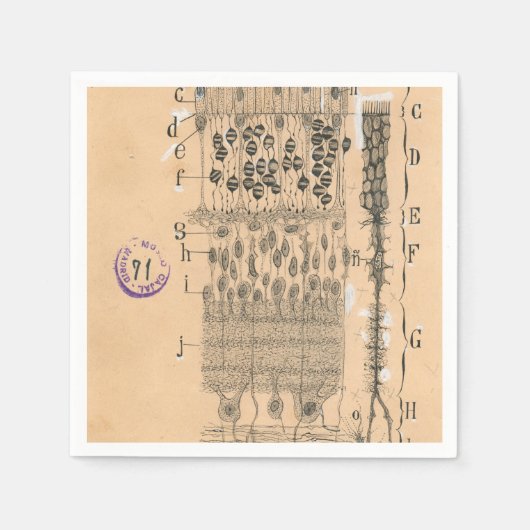 Cell Drawing Eye Retina Santiago Ramon Y Cajal Servet (Voorkant)