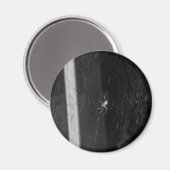 Cellar Spider Magneet (Voorkant / Achterkant)