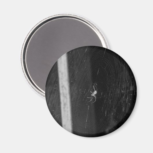 Cellar Spider Magneet (Voorkant / Achterkant)