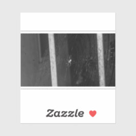 Cellar Spider Sticker