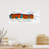 Cellembraandiagram Vaak in alle levende cellen Poster (Keuken)