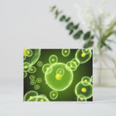 Cellen 2 briefkaart (Staand voorkant)