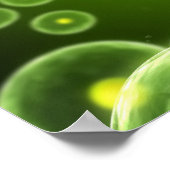 Cellen 2 poster (Hoek)