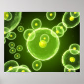 Cellen 2 poster (Voorkant)