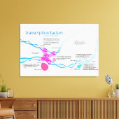 Cellen Gen Transcriptiefactoren Diagram Canvas Afdruk (Insitu (Woonkamer))