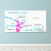 Cellen gentranscriptiefactoren diagram canvas afdruk (Insitu (Houten vloer))