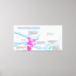Cellen gentranscriptiefactoren diagram canvas afdruk