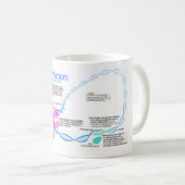 Cellen gentranscriptiefactoren diagram koffiemok (Voorkant rechts)