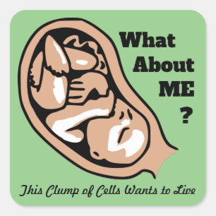 Cellen- of Baby PRO-LIFE-clusters Vierkante Sticker