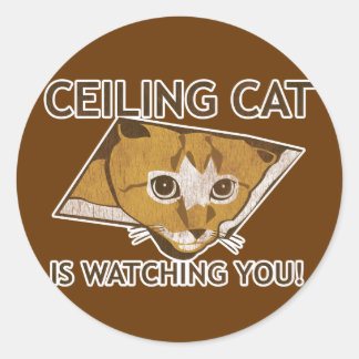 Celling cat houdt je in de gaten! ronde sticker