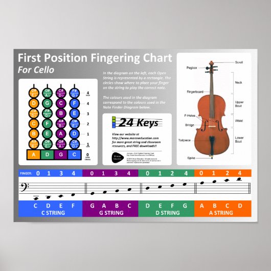 Cello Fingering Chart Poster (Voorkant)