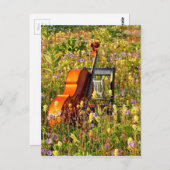 Cello met stoel op een gebied van wildflowers briefkaart (Voorkant / Achterkant)