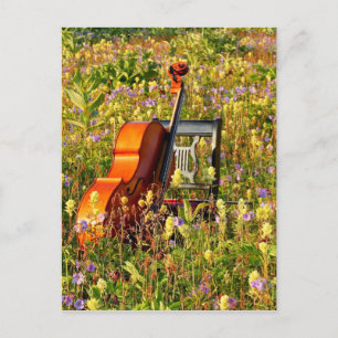 Cello met stoel op een gebied van wildflowers briefkaart