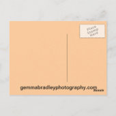 Cello Post Kaart (Achterkant)