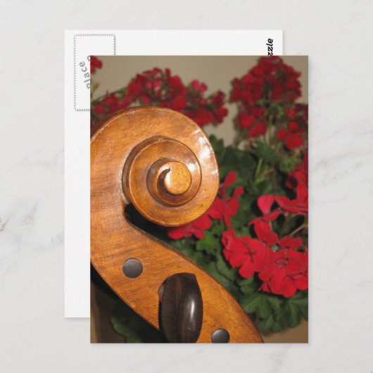 Cello Scroll Flowers briefkaart (Voorkant / Achterkant)