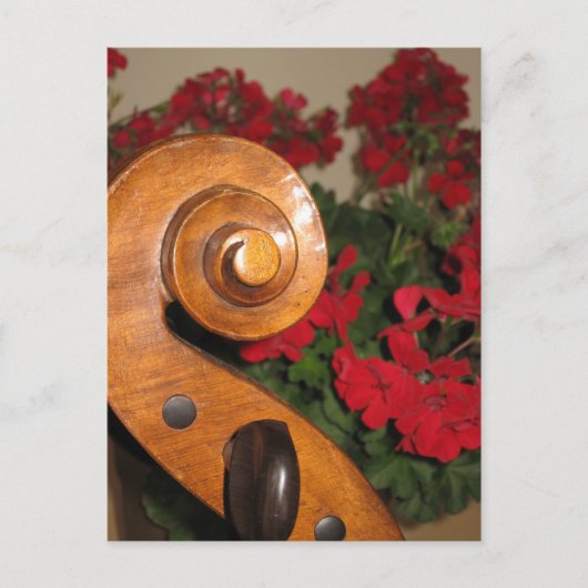 Cello Scroll Flowers briefkaart (Voorkant)