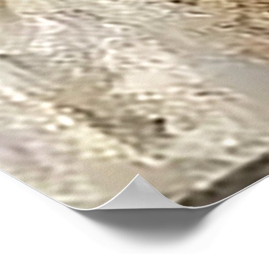 Cello Serenade  Poster (Hoek)