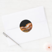 Cellos Ronde Sticker (Envelop)