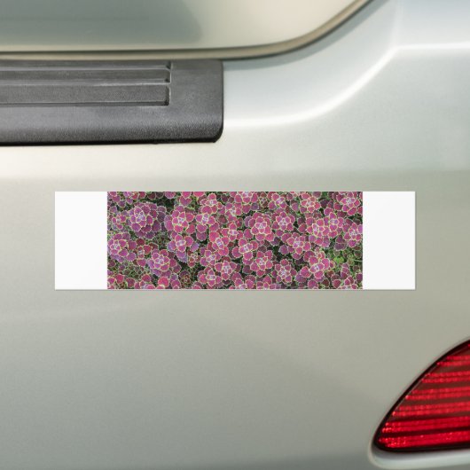 cellulair bumpersticker (Op auto)