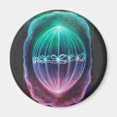 Cellulair divizion magneet (Voorkant)