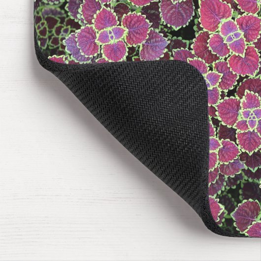 cellulair muismat (Hoek)