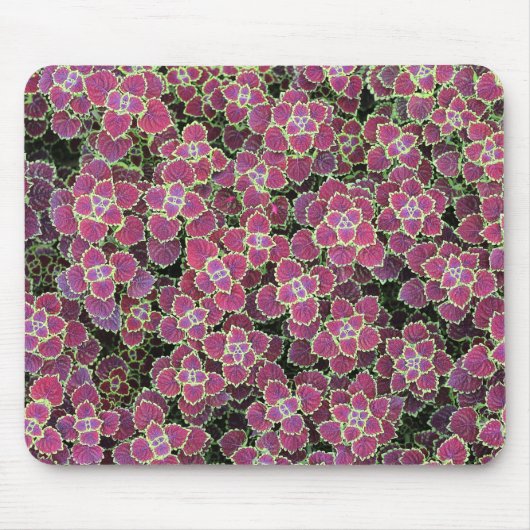 cellulair muismat (Voorkant)