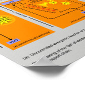 Cellulaire ademhalingsstappen in de biologie poster (Hoek)