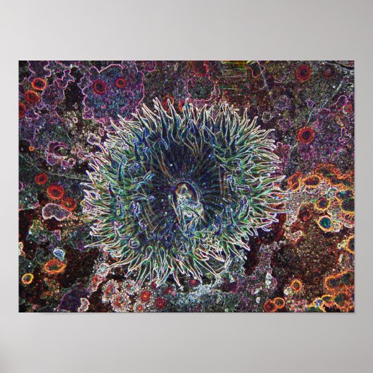 Cellulaire oorsprong poster (Voorkant)