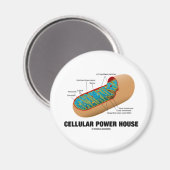 Cellular Power House (Mitochondrion) Magneet (Voorkant / Achterkant)