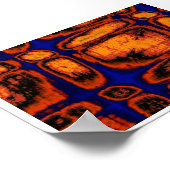 celmuren poster (Hoek)