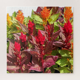 CELOSIA BLOEMEN LEGPUZZEL