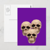 celskop briefkaart (Voorkant / Achterkant)