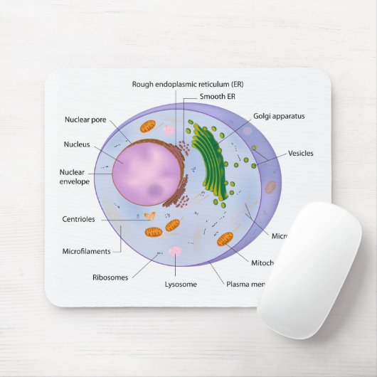 Celstructuurmousepad Muismat (Met muis)