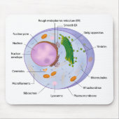 Celstructuurmousepad Muismat (Voorkant)