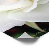 Celtic Blessing, 14 x 11 inch - halfglanzend Poste Poster (Hoek)
