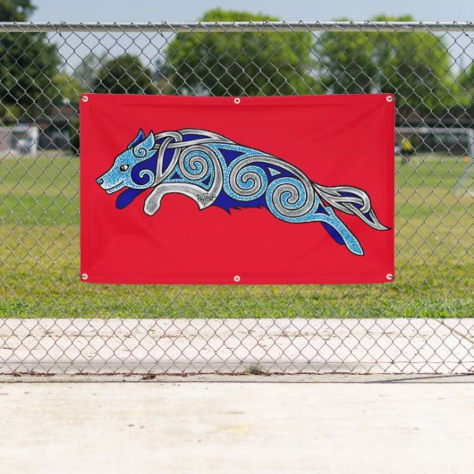 Celtic Border Collie Competitive Agility Dog Spandoek (Insitu)