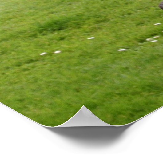 Celtic Cross Ierland Poster (Hoek)