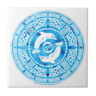 Celtic Dolphins Tile Tegeltje