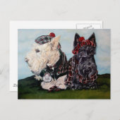 Celtic Scottish Terriers Briefkaart (Voorkant / Achterkant)