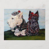 Celtic Scottish Terriers Briefkaart (Voorkant)