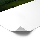 Celtic Scottish Terriers Poster (Hoek)