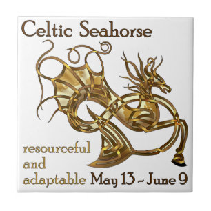 Celtic Seahorse Tegeltje