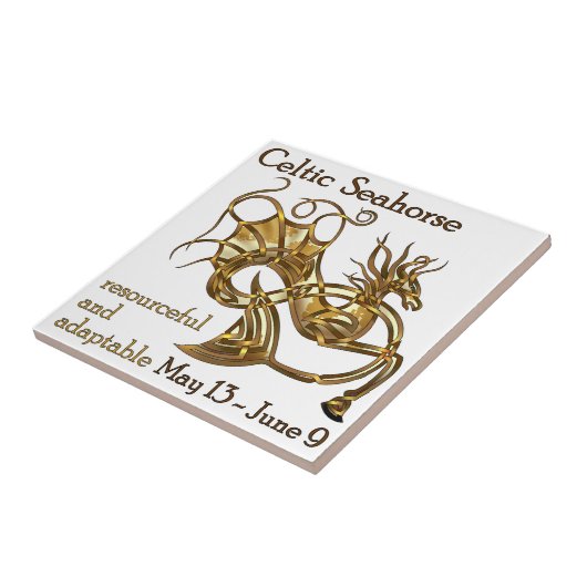 Celtic Seahorse Tegeltje (Zijkant)