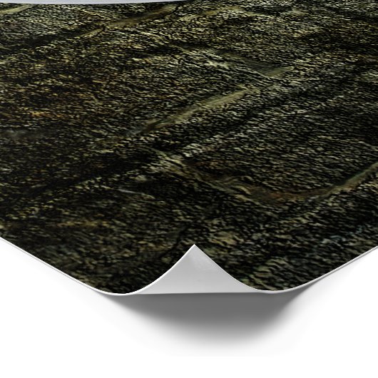 Celtic Shield Poster (Hoek)