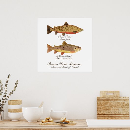 Celtic Trout Art Poster (Keuken)