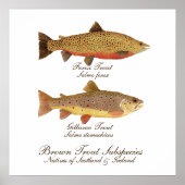 Celtic Trout Art Poster (Voorkant)