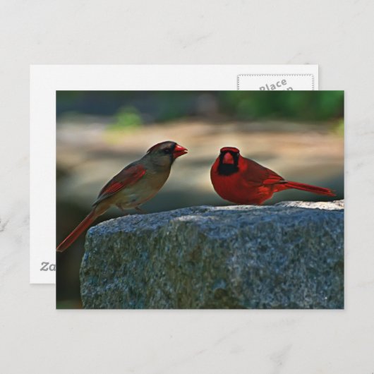 Cemetery Briefkaart (Voorkant / Achterkant)