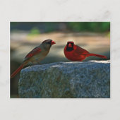 Cemetery Briefkaart (Voorkant)