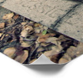 Cemetery Girl Poster (Hoek)