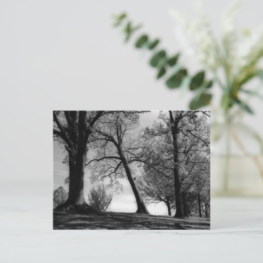 Cemscape Briefkaart (Staand voorkant)